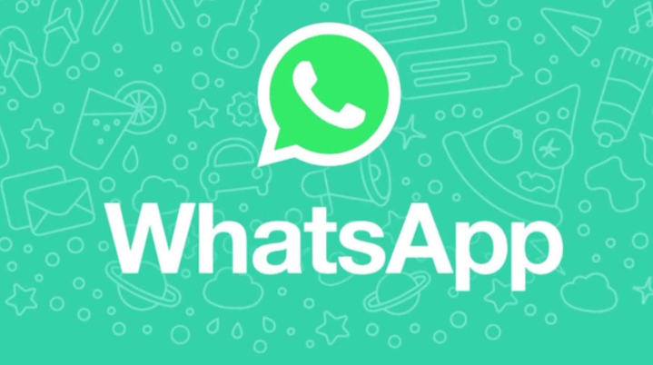 使用WhatsApp网页版管理海量聊天内容的实用指南